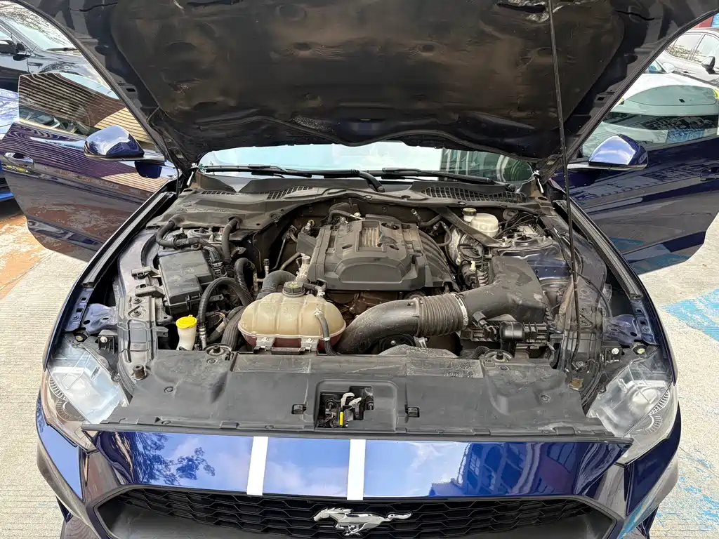 Ford Mustang — миниатюра 18