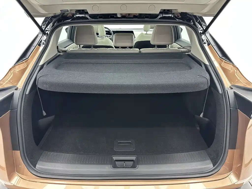 Nissan Ariya — миниатюра 17