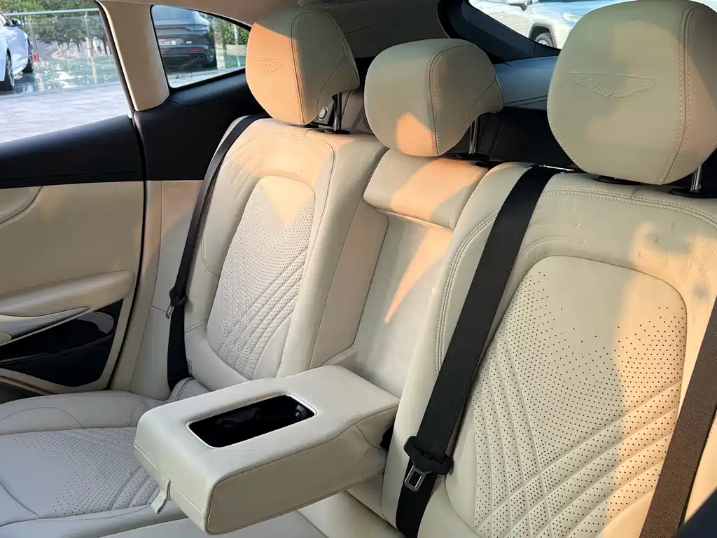 Aston Martin DBX — миниатюра 18