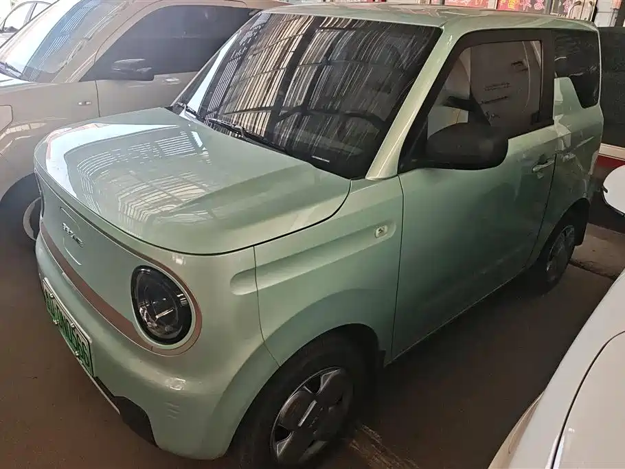 Galaxy Panda 2024