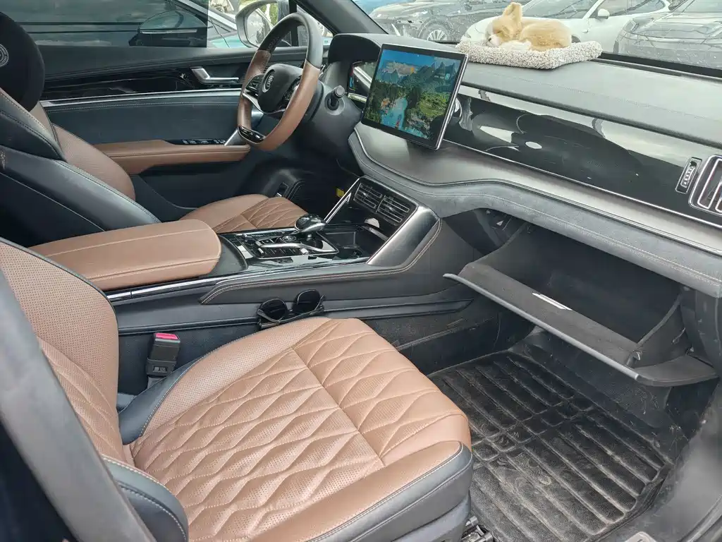 BYD Tang New Energy — миниатюра 5