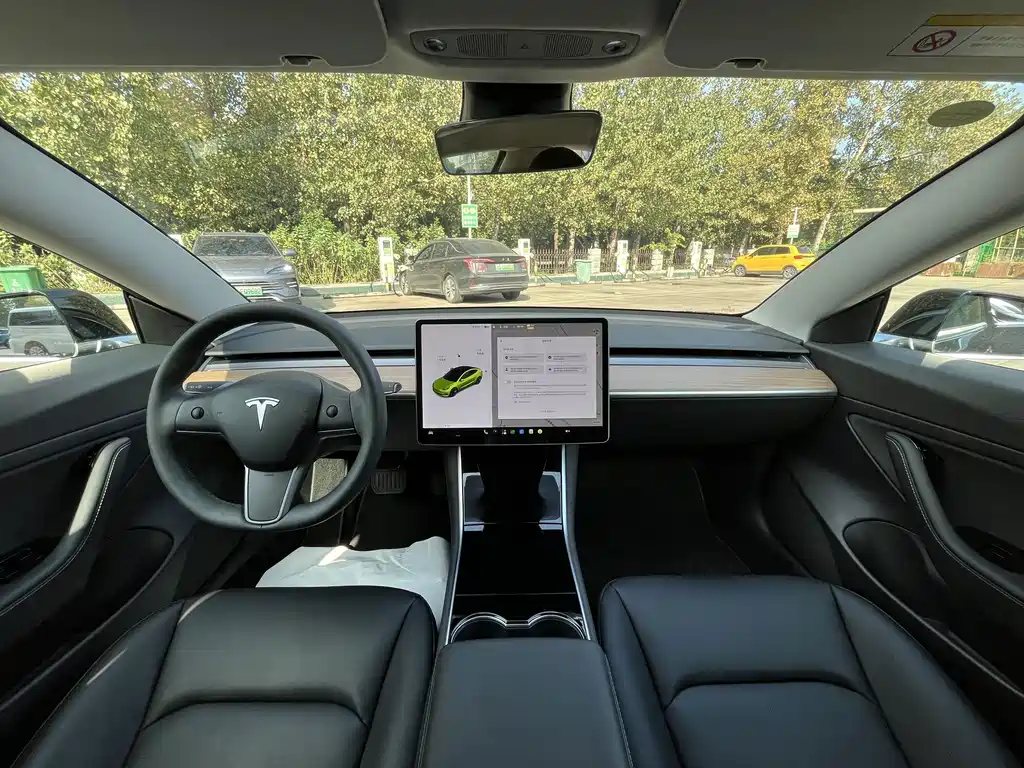 Tesla Model 3 — миниатюра 4