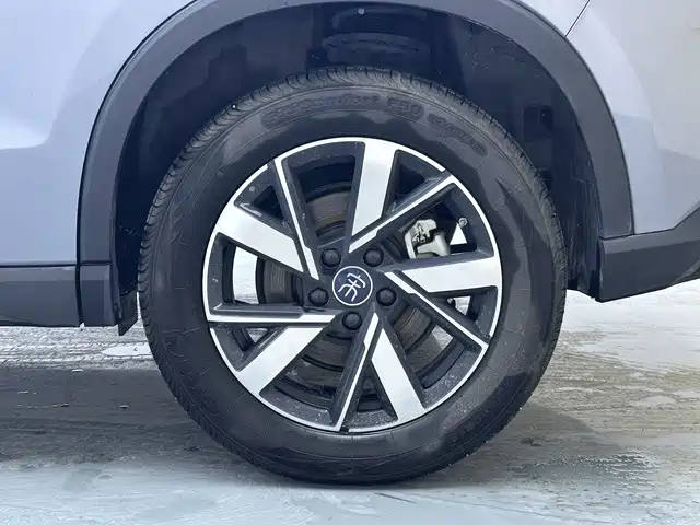 BYD Pro New Energy — миниатюра 19