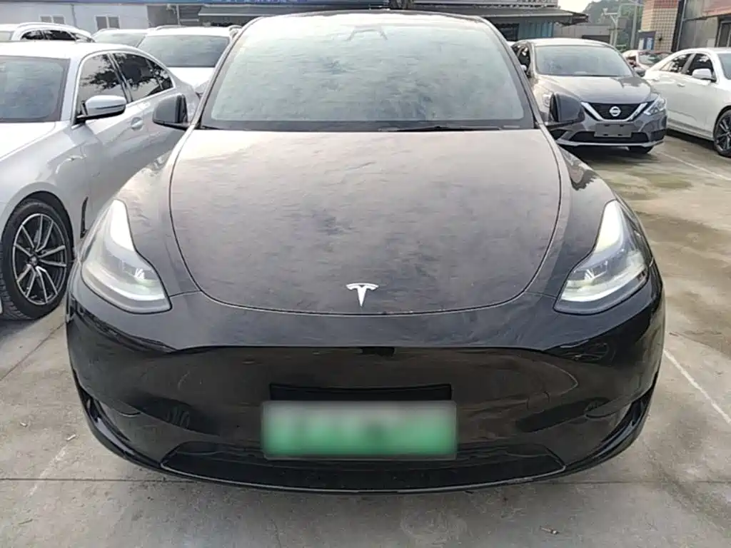 Tesla Model Y — миниатюра 3