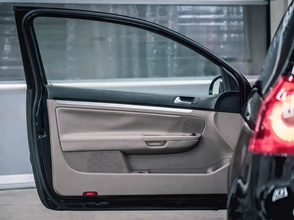 Volkswagen Golf (Import) — миниатюра 14