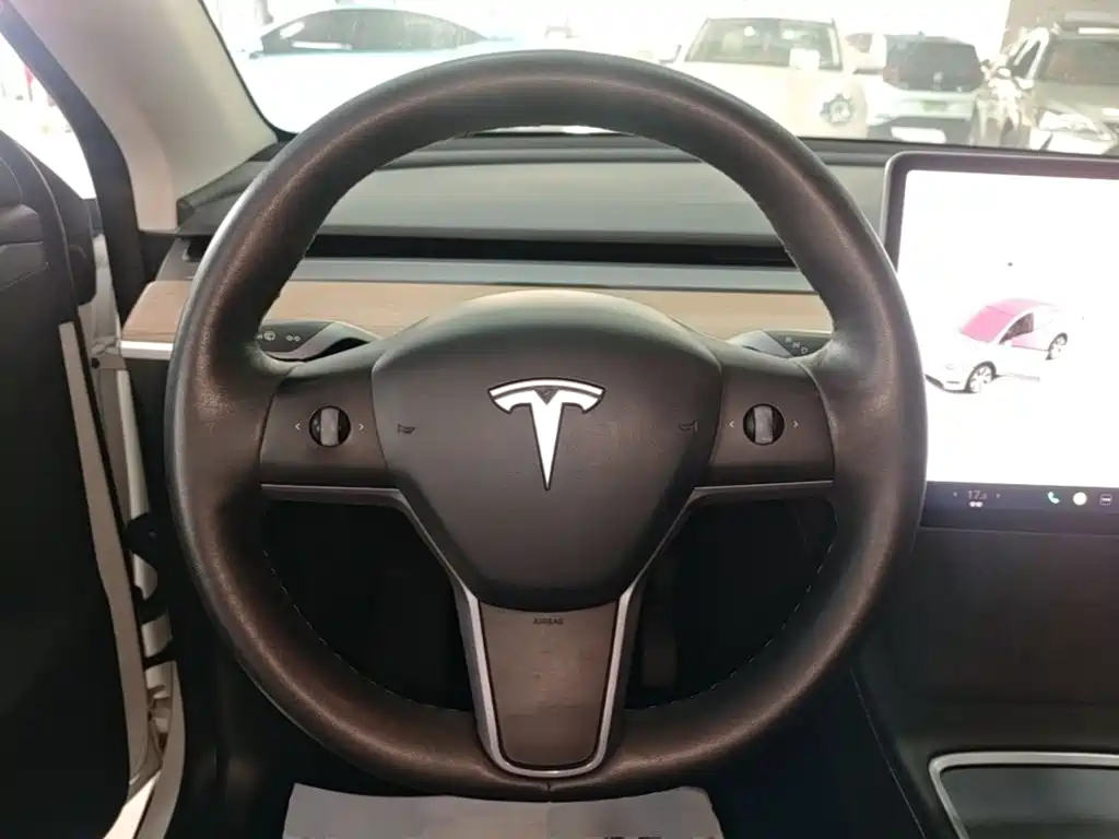 Tesla Model Y — миниатюра 11