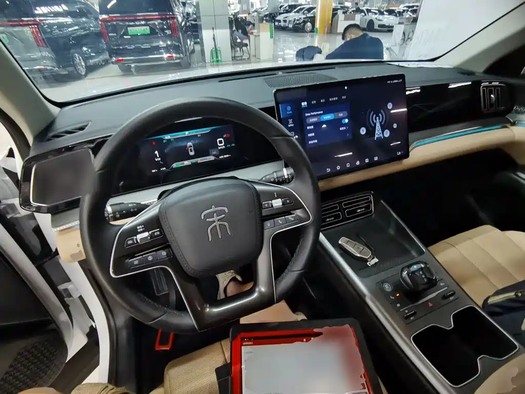 BYD Pro New Energy — миниатюра 10