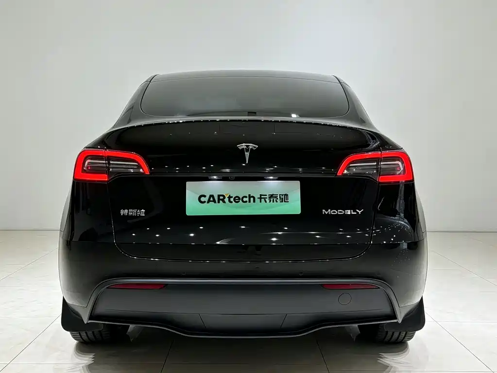 Tesla Model Y — миниатюра 17