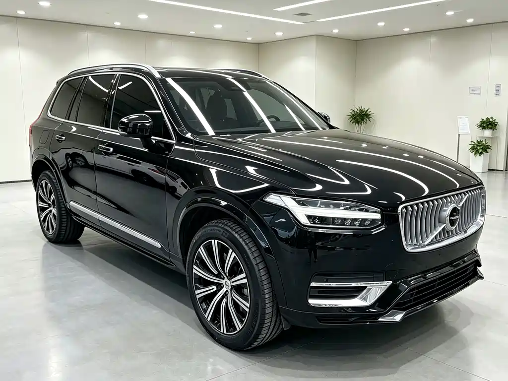 Volvo XC90 — миниатюра 3