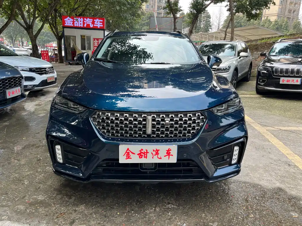 WEI PAI WEI BRAND VV7