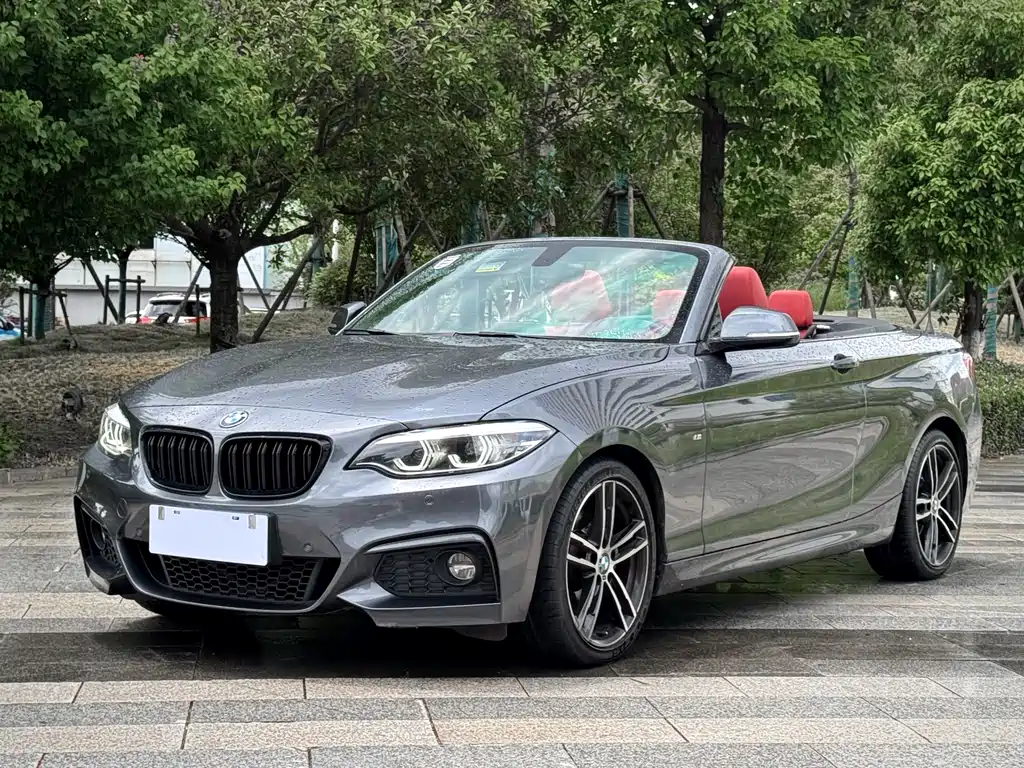 BMW 2 Series (Import) 2018