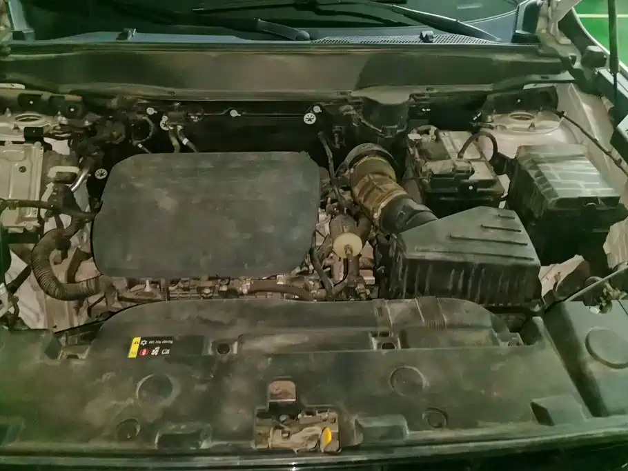 Haval Big Dog — миниатюра 10