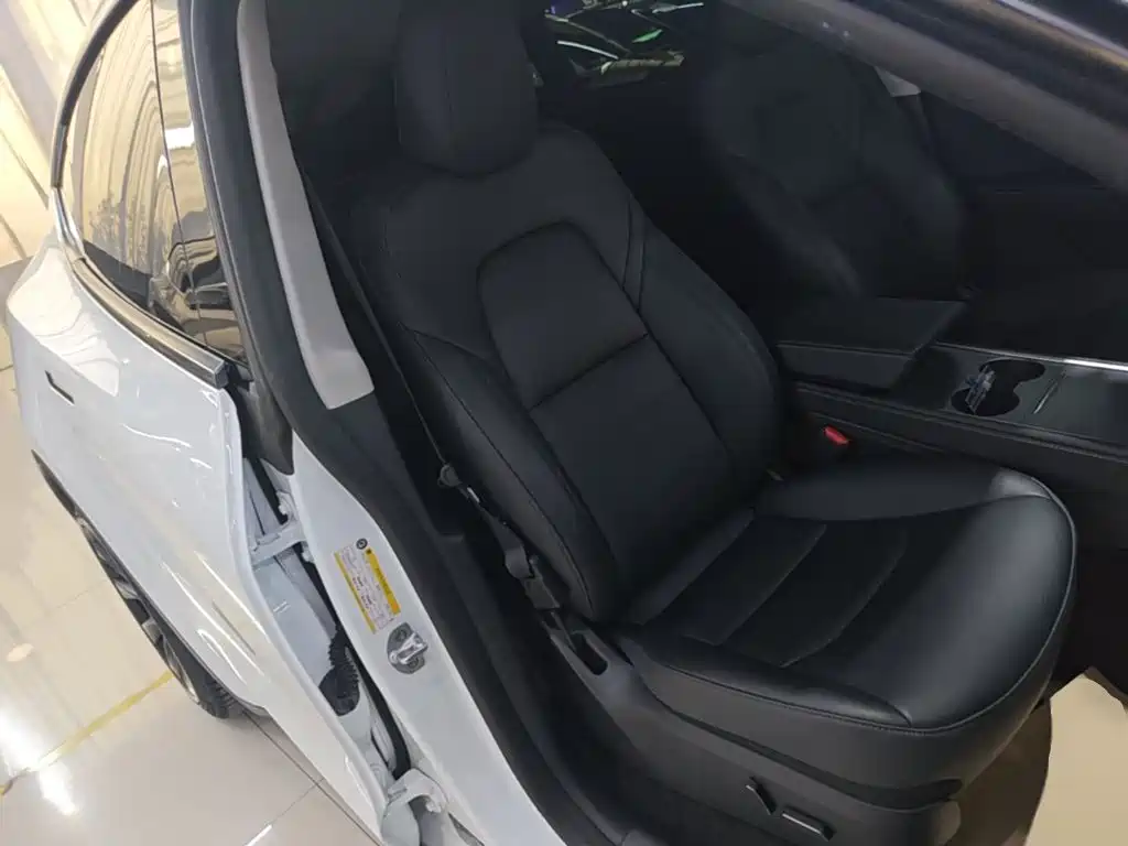 Tesla Model Y — миниатюра 4