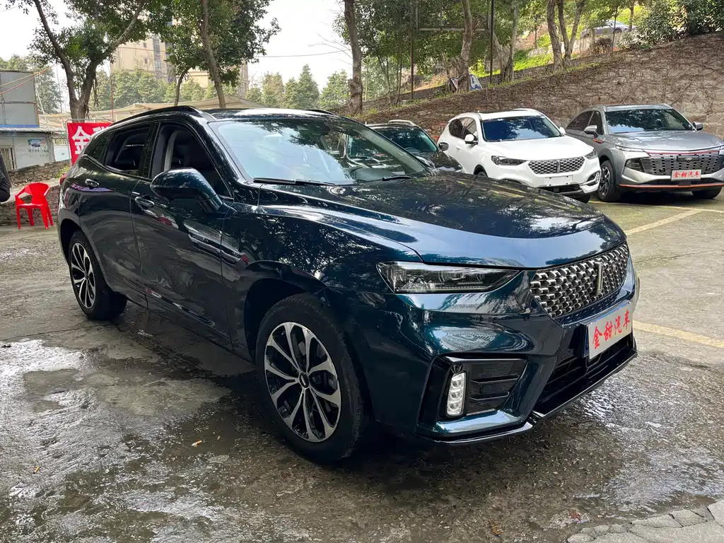 WEI PAI WEI BRAND VV7