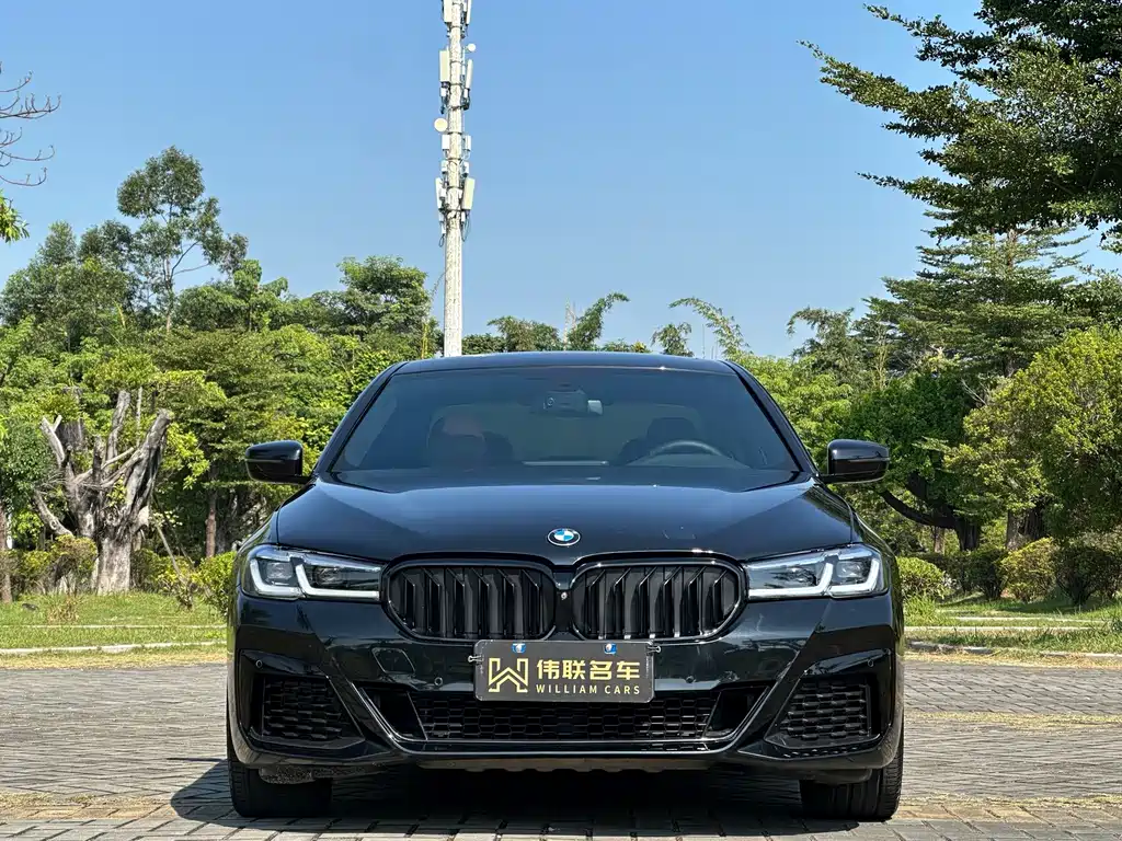 BMW 5 Series — миниатюра 2