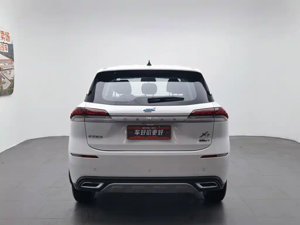 Oshan Oushang X7 — миниатюра 4