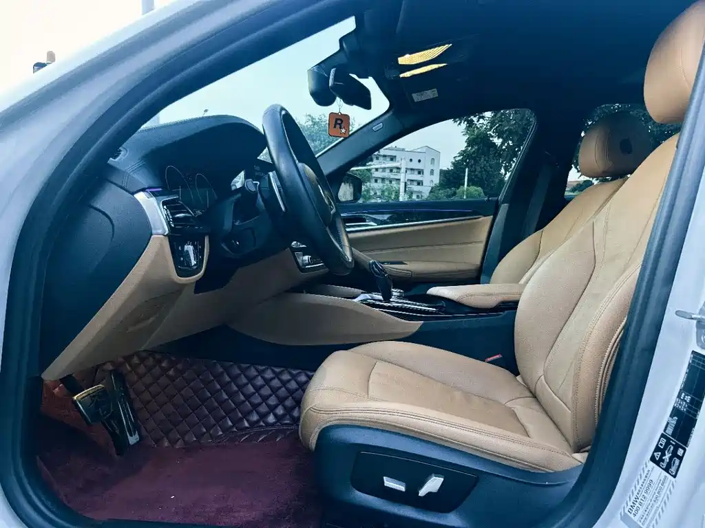 BMW 5 Series 5 2019 530Li xDrive M Sport