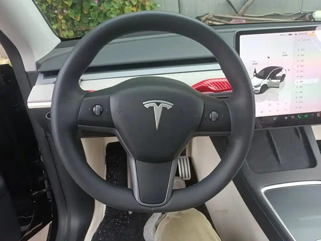 Tesla Model Y — миниатюра 11