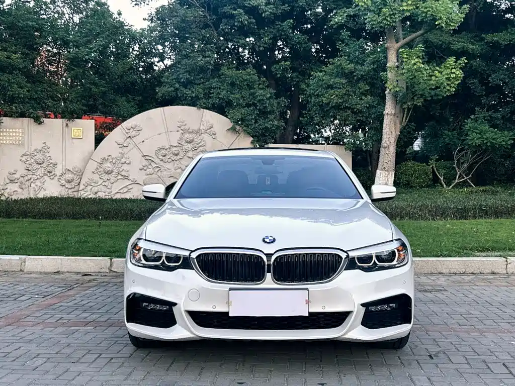 BMW 5 Series 5 2019 530Li xDrive M Sport