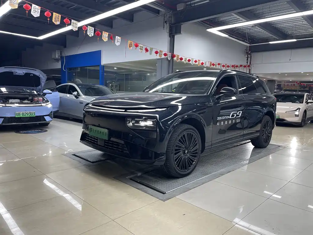 XPeng G9 — миниатюра 2