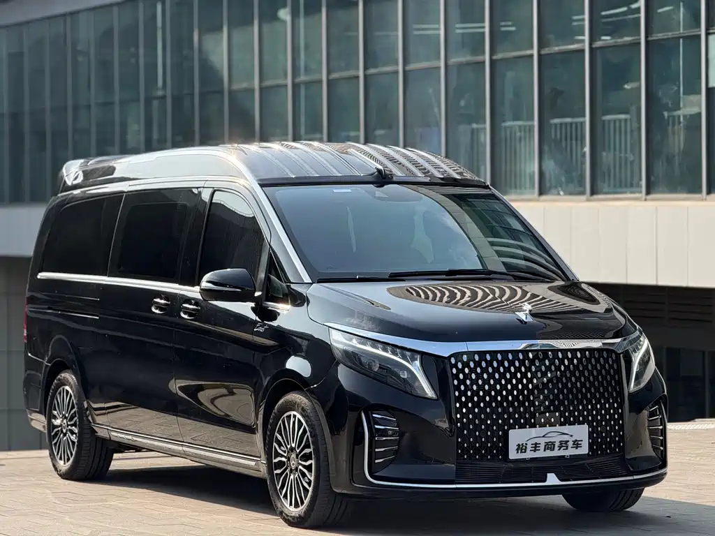 MERCEDES-BENZ V CLASS