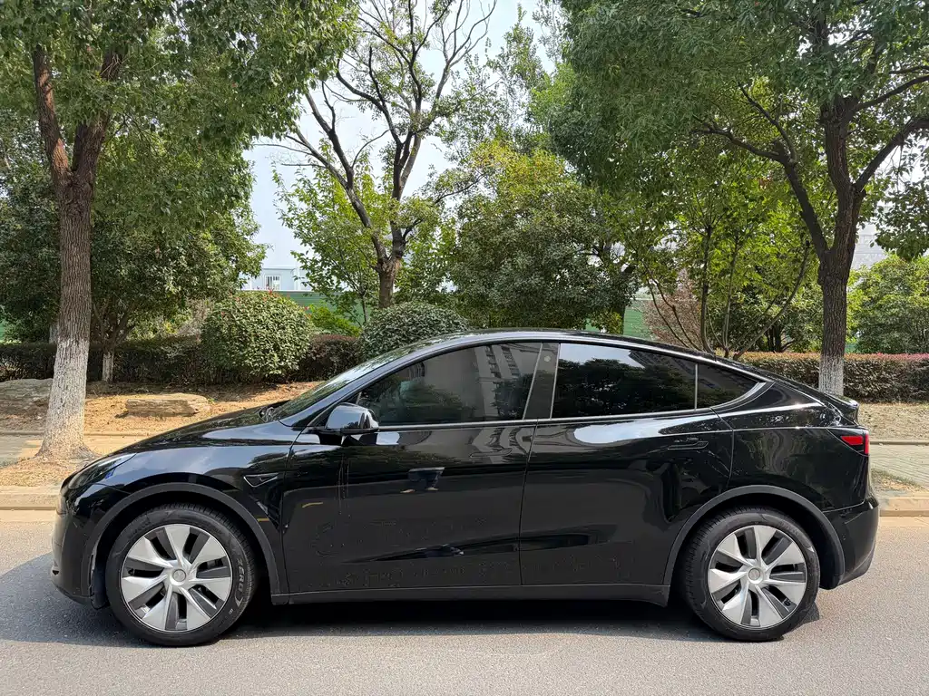 Tesla Model Y — миниатюра 5