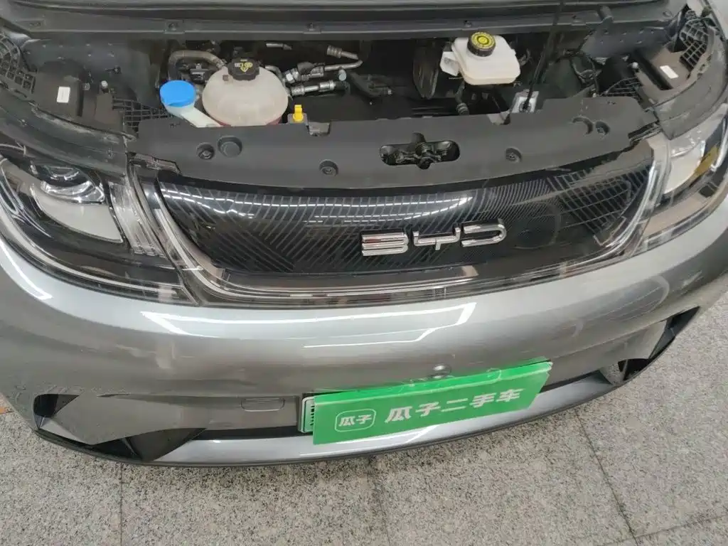 BYD Dolphin — миниатюра 11