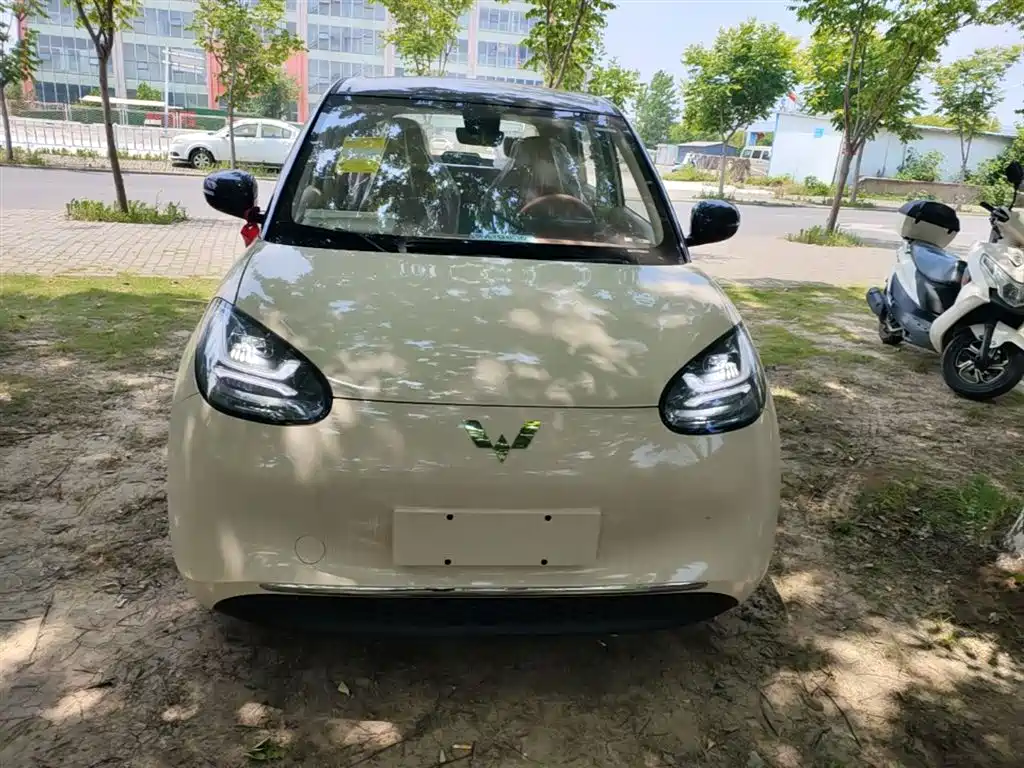 Wuling Binguo 2025 333km