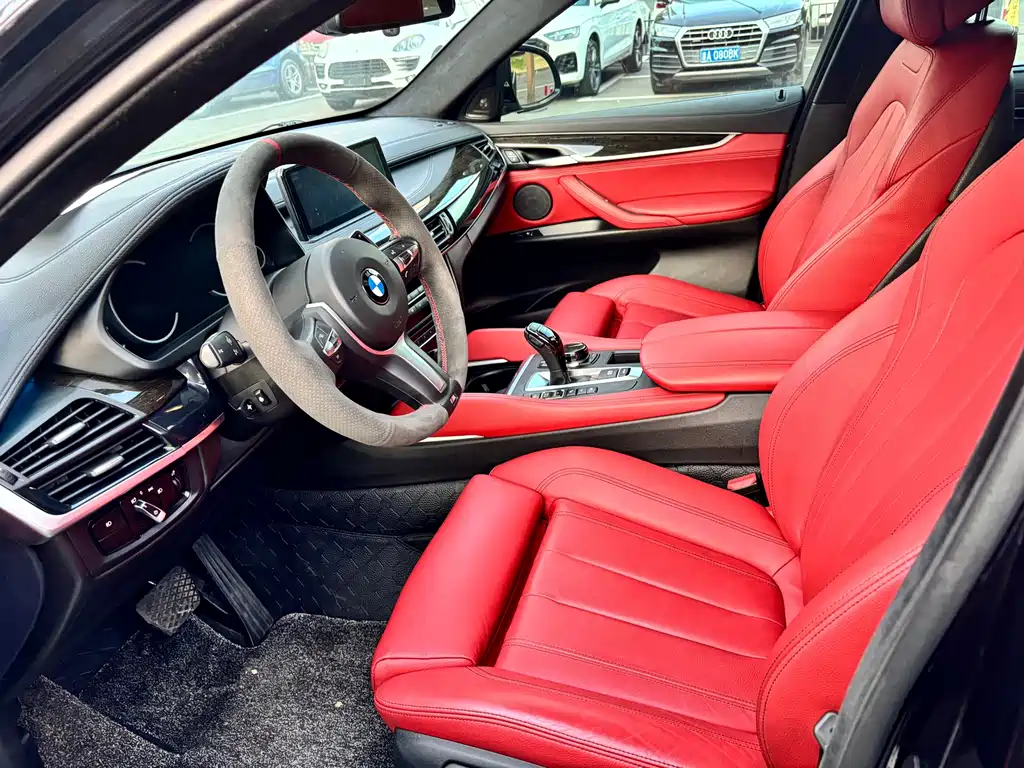 BMW X6 — миниатюра 8