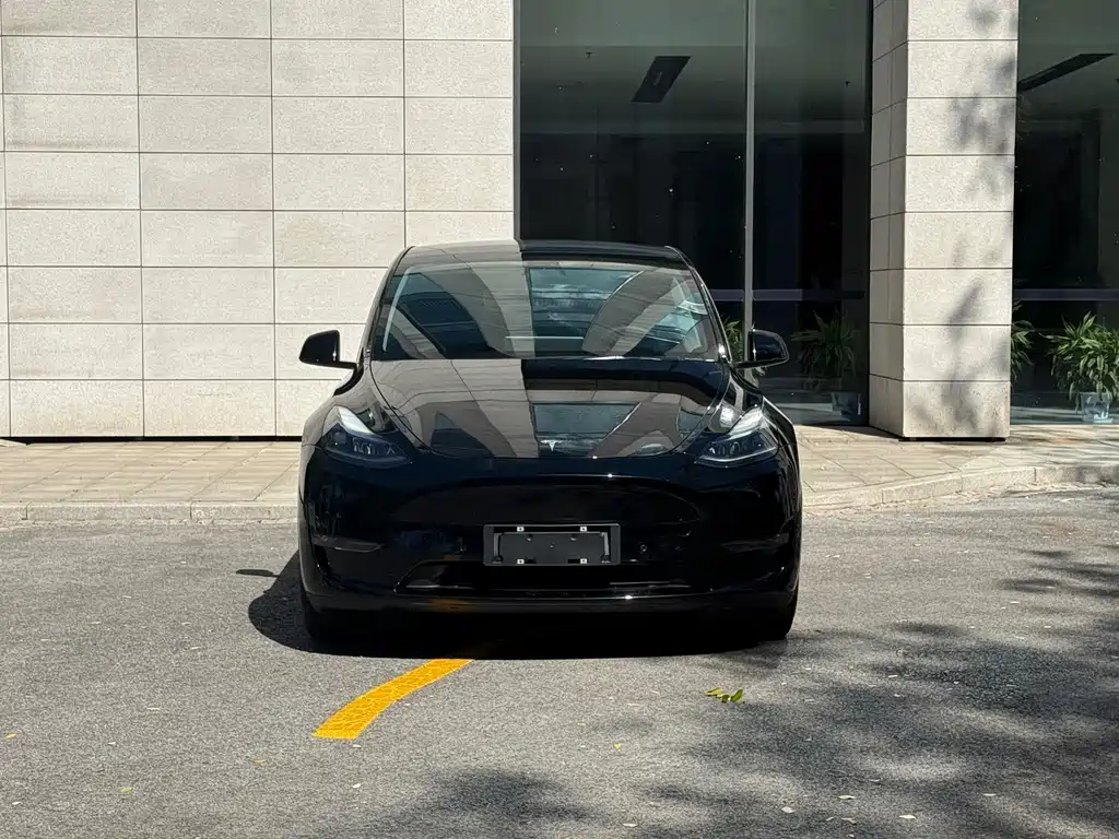 Tesla Model Y — миниатюра 2