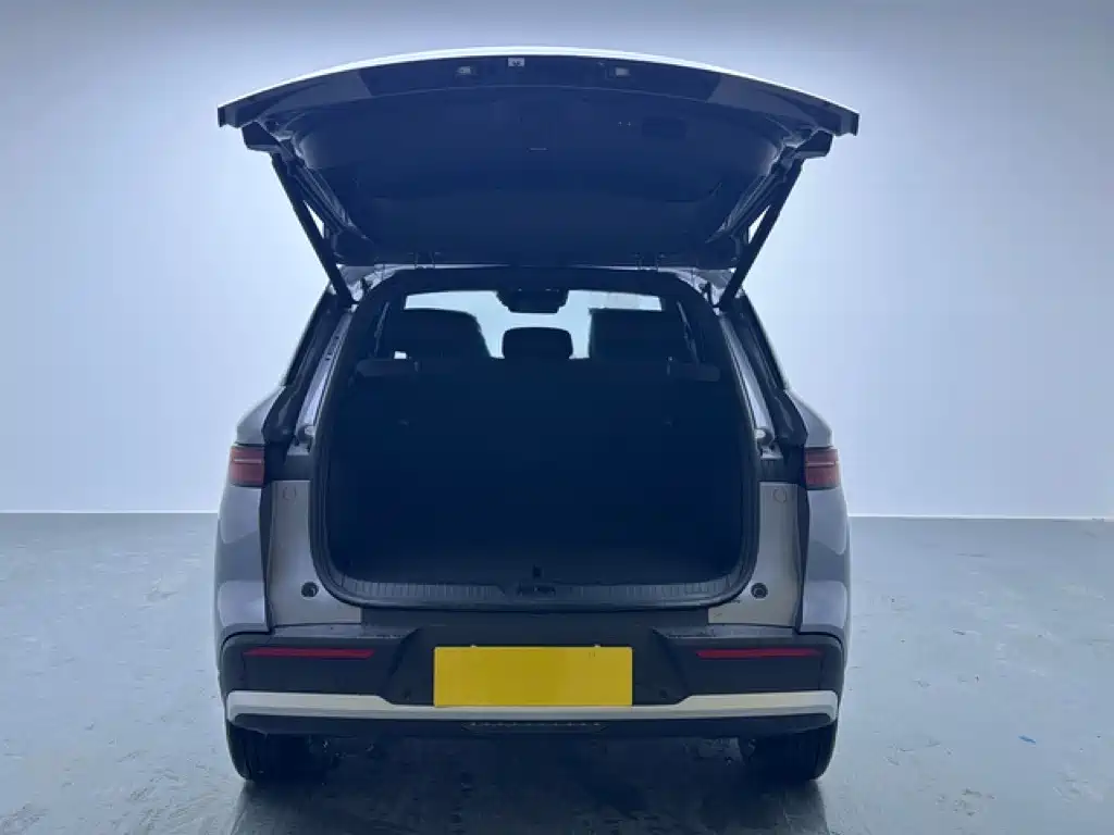 BYD Pro New Energy — миниатюра 16