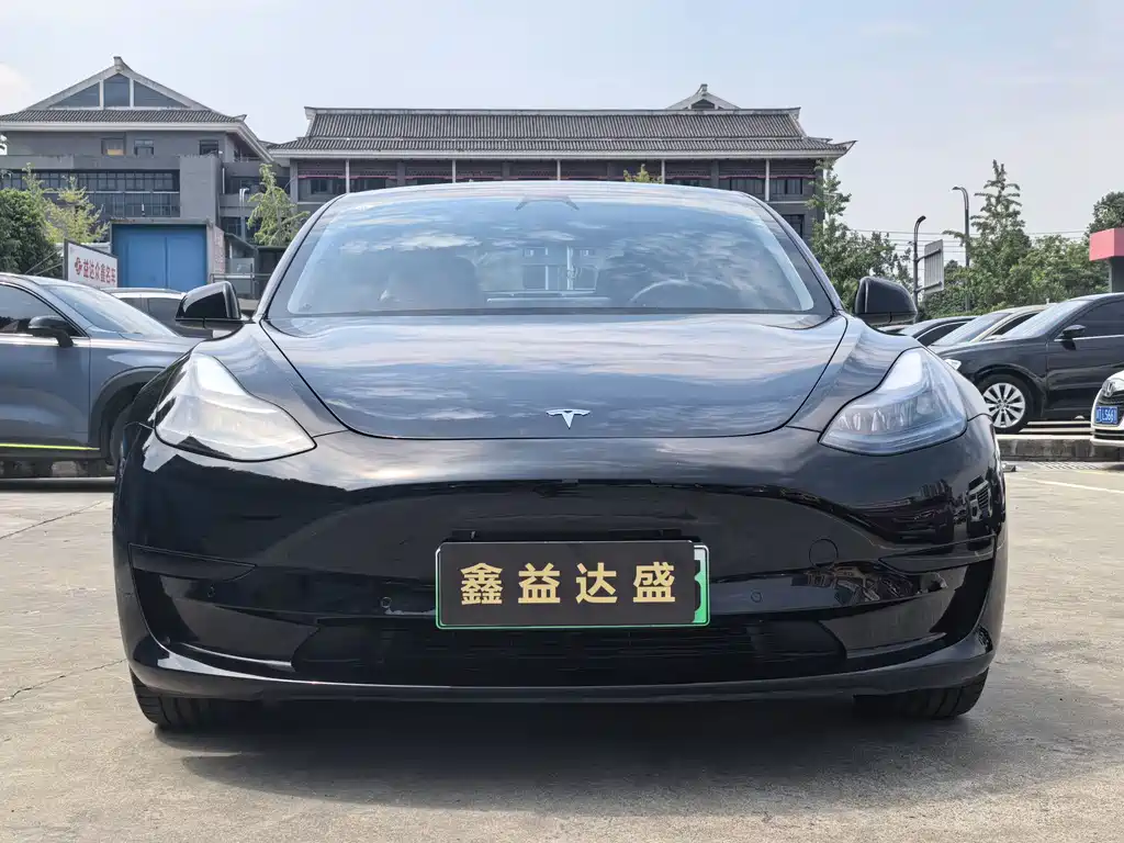 Tesla Model 3 — миниатюра 2