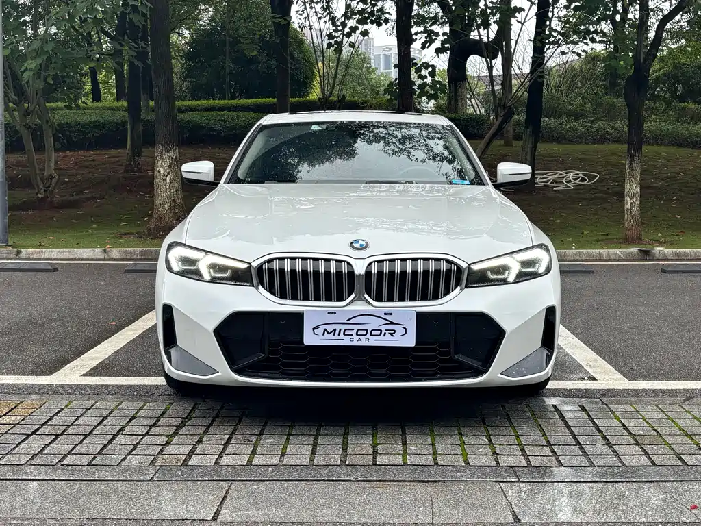 BMW 3 Series — миниатюра 2
