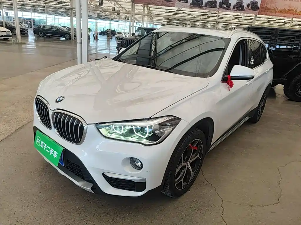 BMW X1 — миниатюра 2