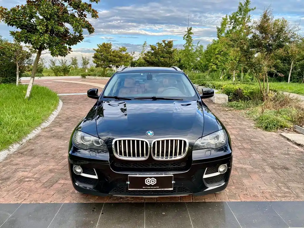BMW X6 — миниатюра 2