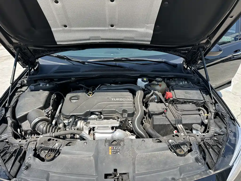 Buick Regal — миниатюра 22