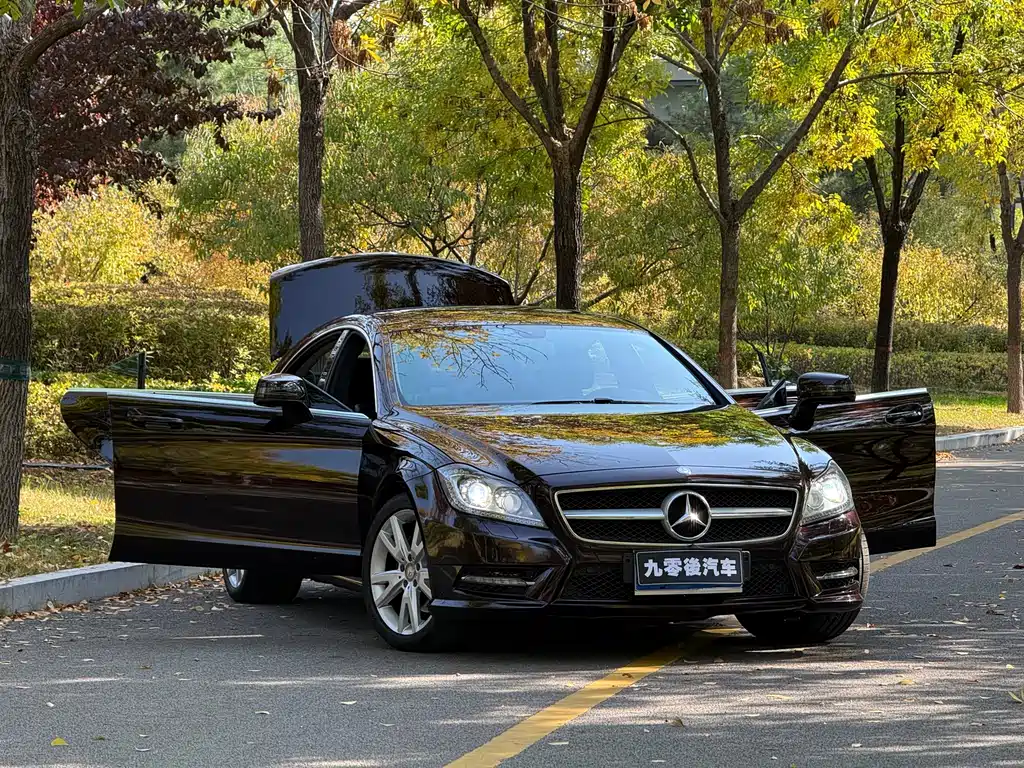 Mercedes-Benz CLS — миниатюра 14