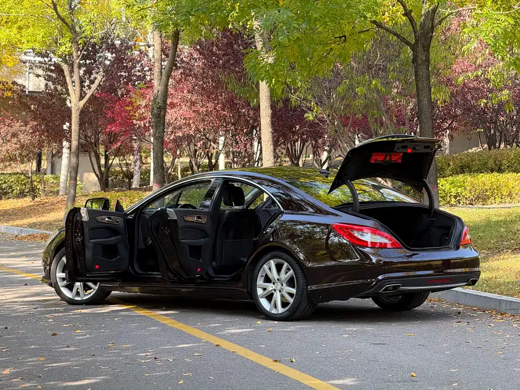 Mercedes-Benz CLS — миниатюра 15