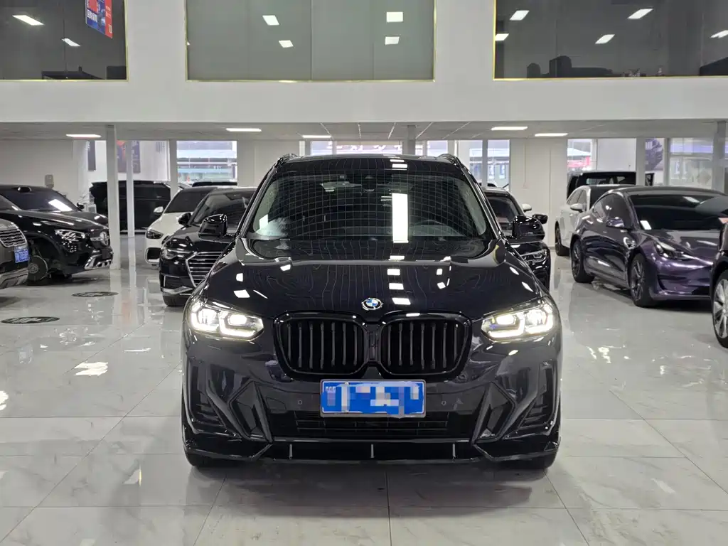 BMW X3 — миниатюра 2