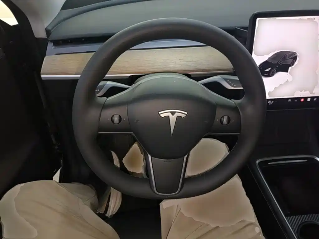 Tesla Model Y — миниатюра 11