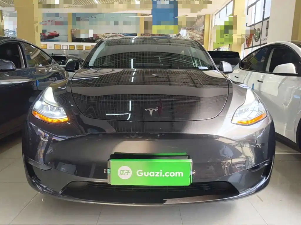Tesla Model Y — миниатюра 3