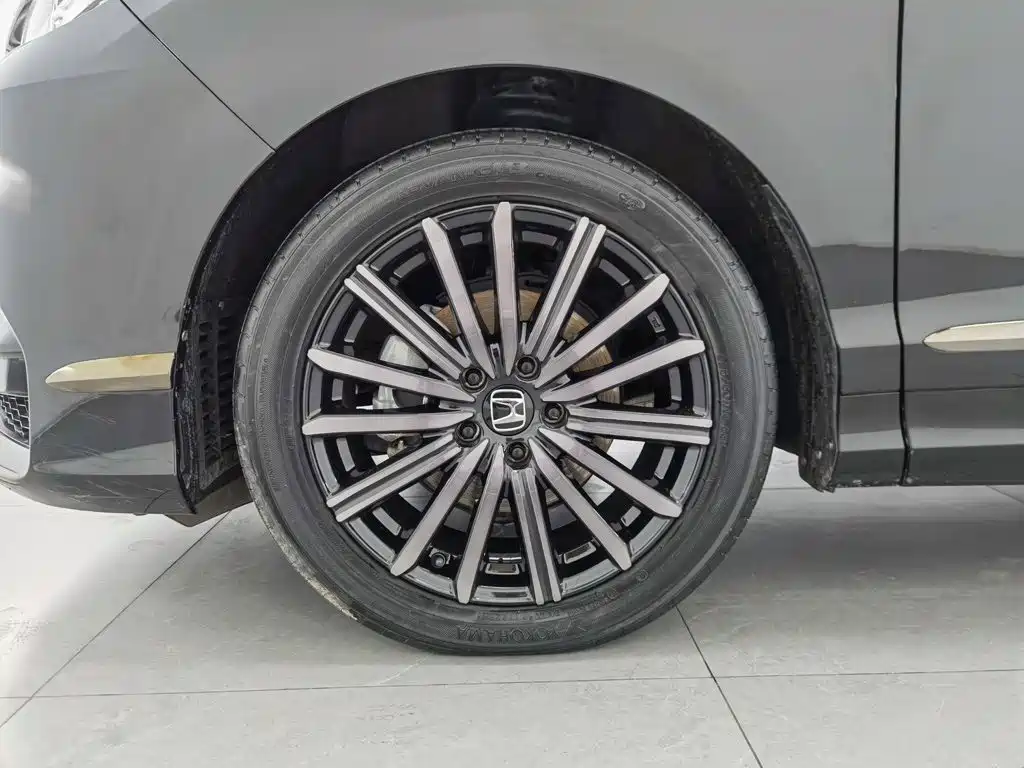 Honda Elysion — миниатюра 17