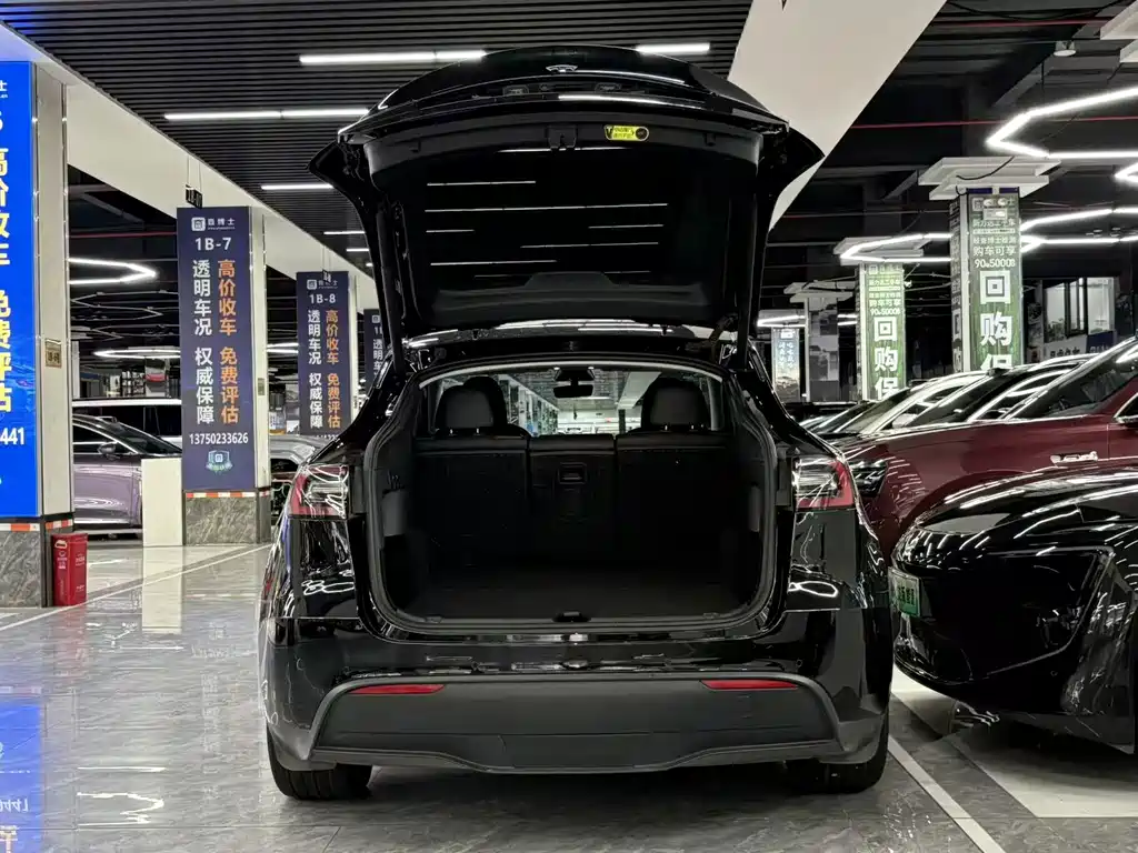 Tesla Model Y — миниатюра 6
