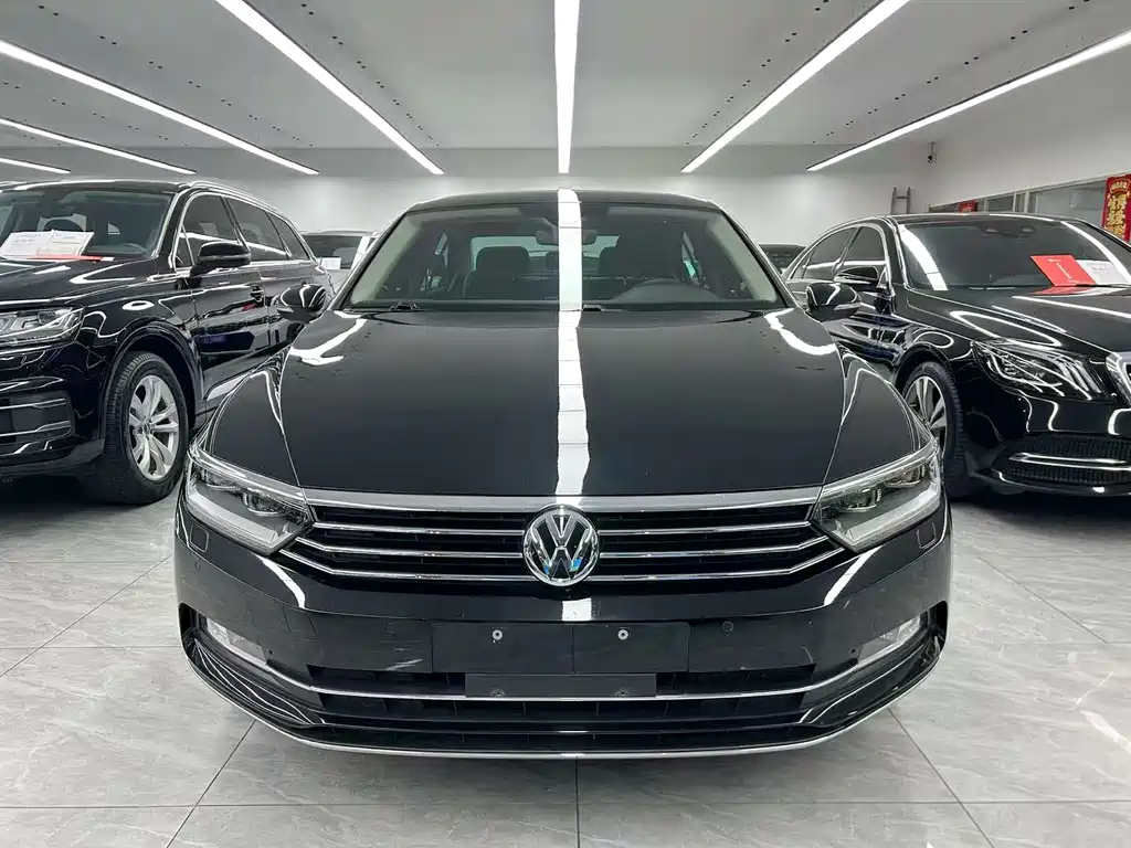 Volkswagen Magotan 2019 330TSI DSG Luxury V