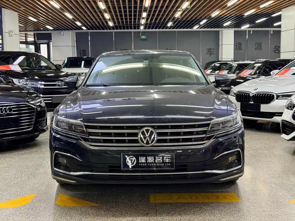 Volkswagen Phideon — миниатюра 2