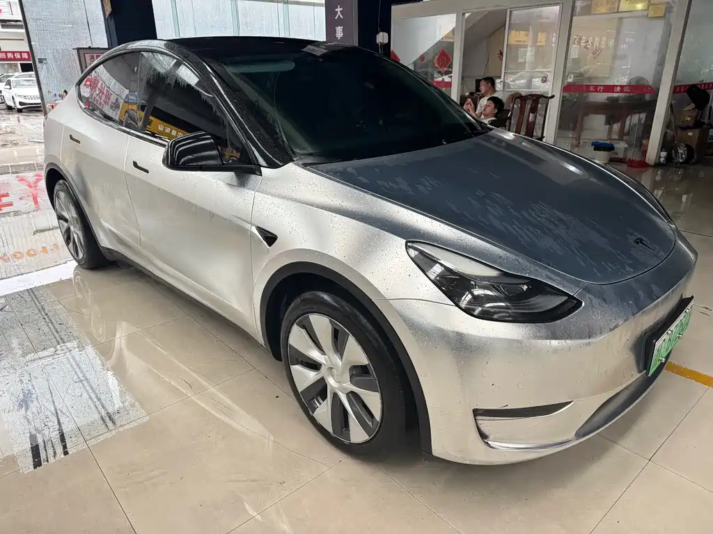 Tesla Model Y — миниатюра 2