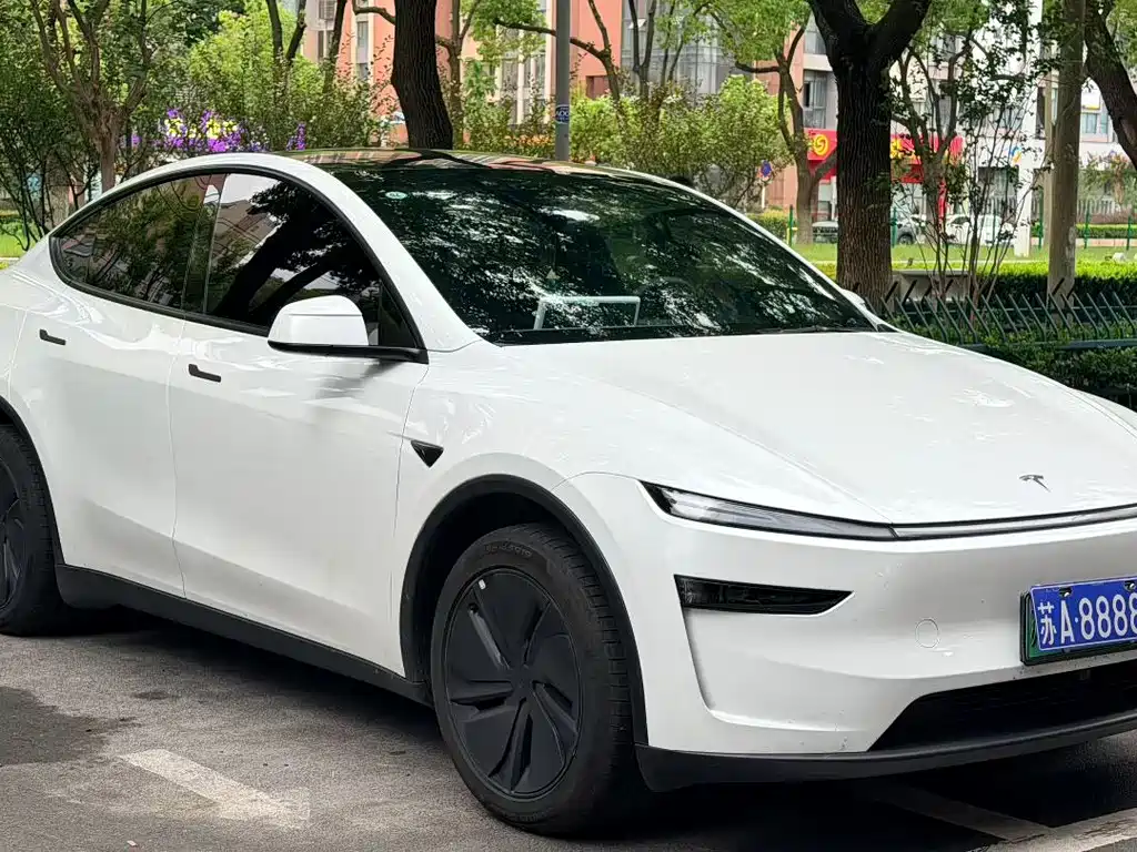 Tesla Model Y — миниатюра 3