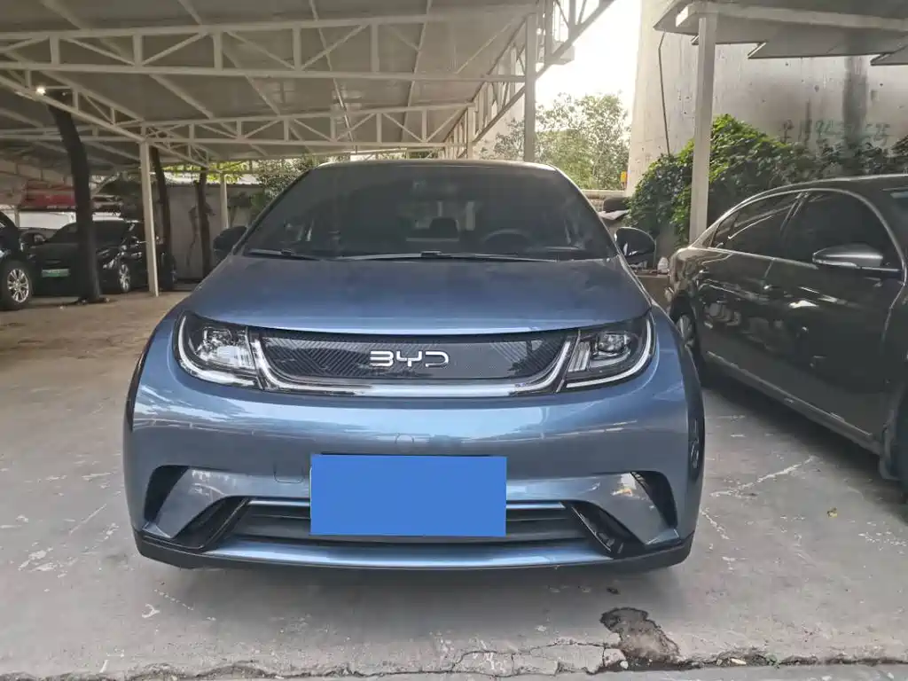 BYD Dolphin — миниатюра 2