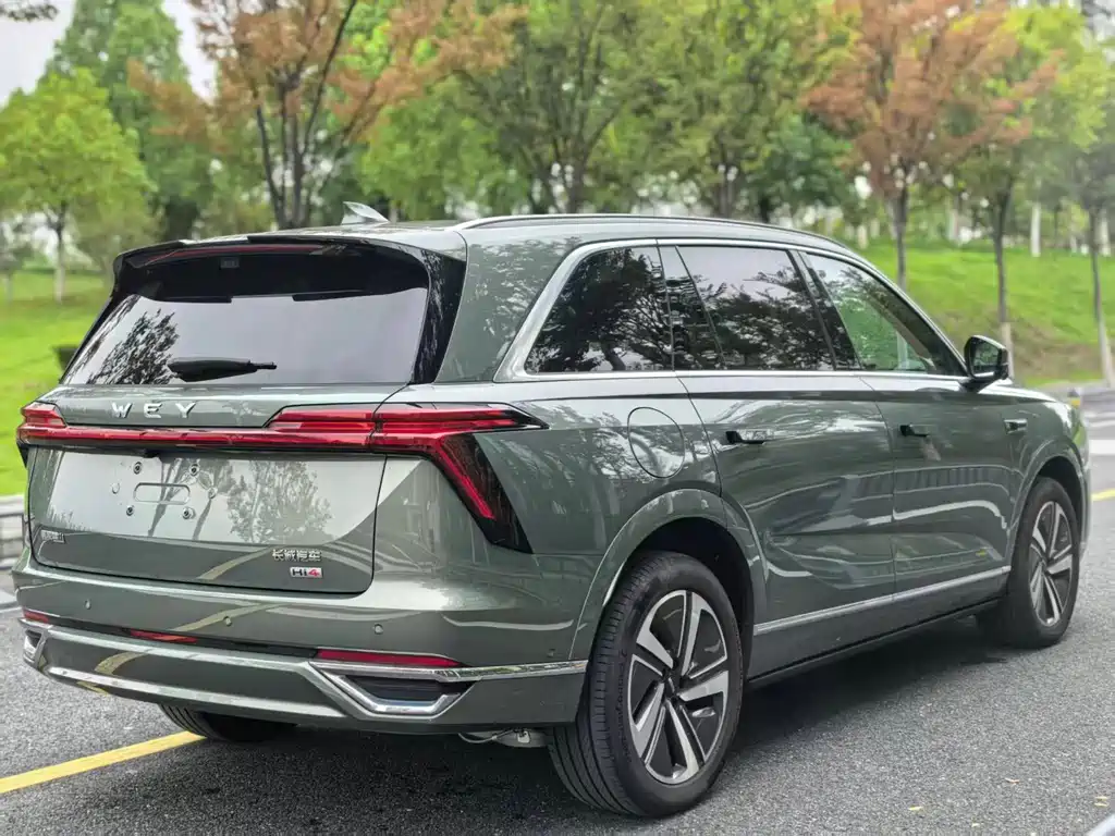 WEI PAI WEI BRAND BLUE MOUNTAIN