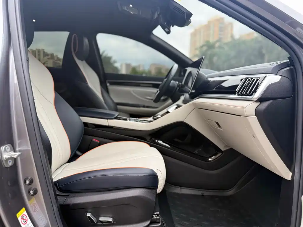 BYD PLUS New Energy — миниатюра 4